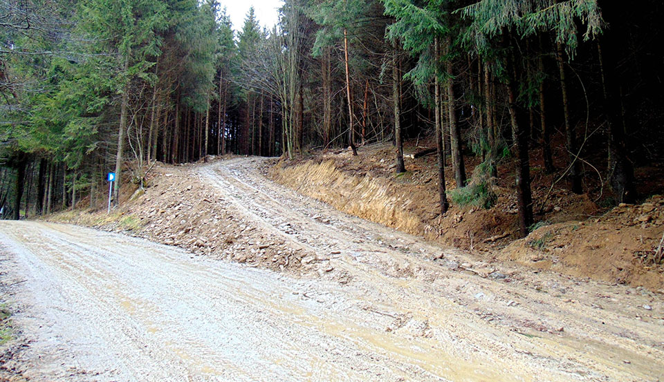 Itt kezdődik a Büdösfürdőhöz vezető és erdőkitermelést is lehetővé tevő erdei út
