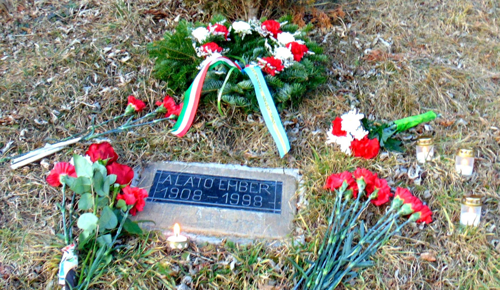 A látó ember - Fotó Bedő Zoltán A látó ember - Fotó Bedő Zoltán