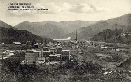 „Uzvölgyi” fűrészgyár a 20. század elején