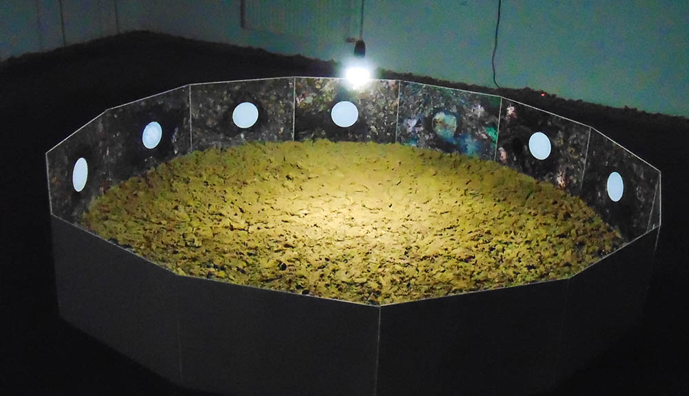 Rizmayer Péter – Az utolsó vacsora