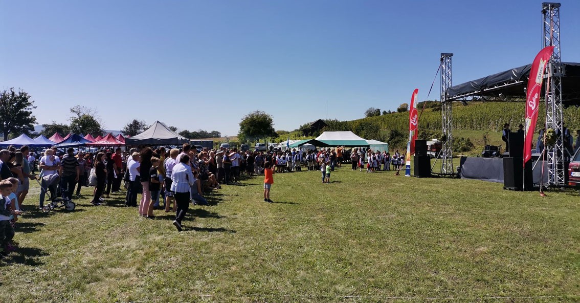 X. Kis-Küküllő menti szüreti mulatság - Fotó Szer Pálosy Piroska