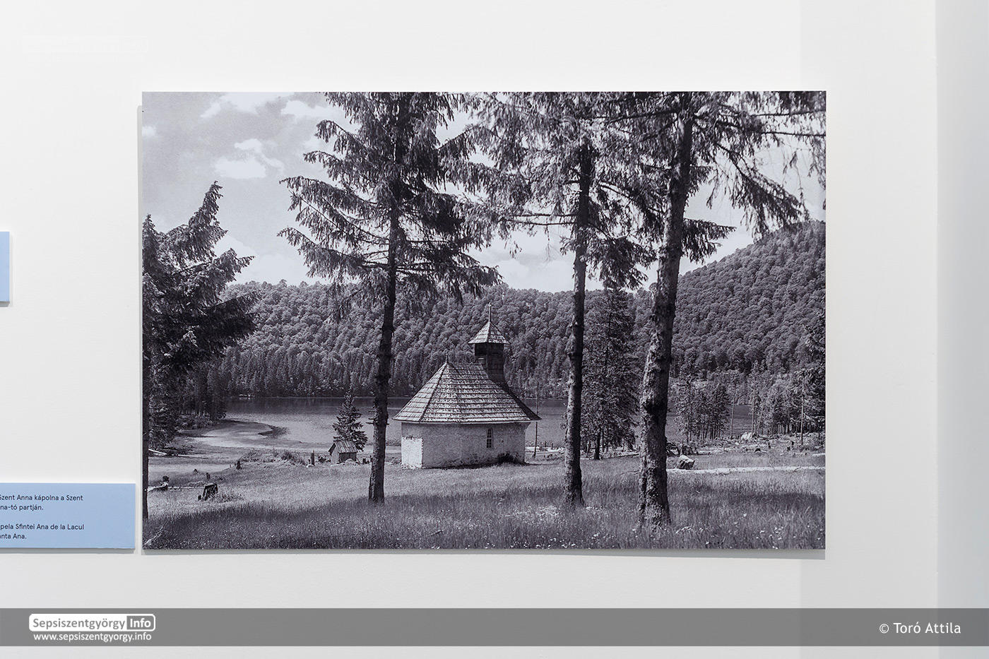 07 Weinstock Erno Kepekbe zart haza SzNM 2024